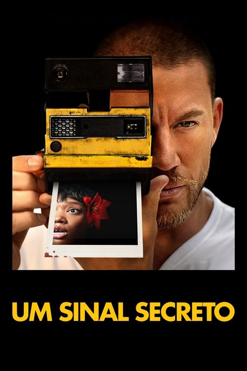 Pisque Duas Vezes Torrent (2024) BluRay Dual Áudio e Legendado